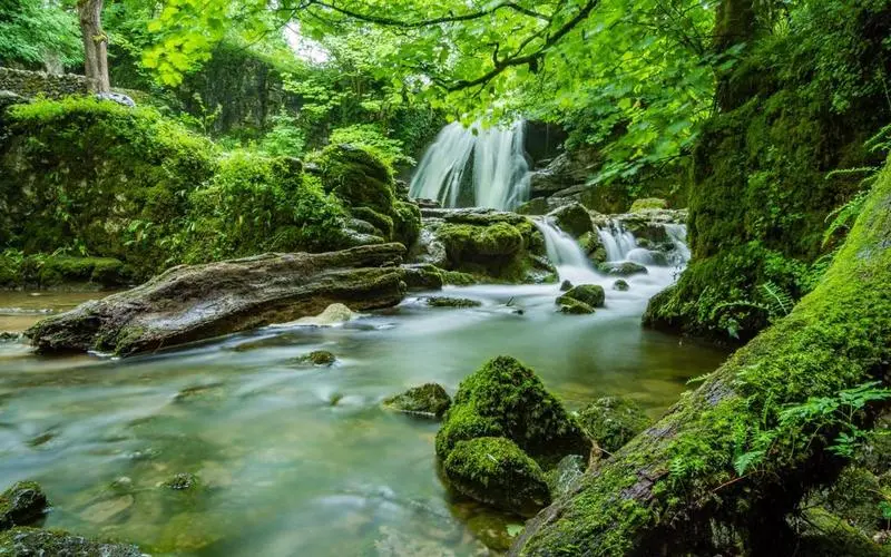 绿色高标准可靠性